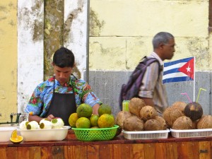 Boy cuts coconuts